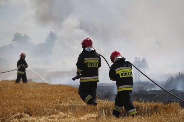 W akcji gaśniczej na polu w Siennie koło Dobrcza wzięły udział cztery zastępy strażaków.