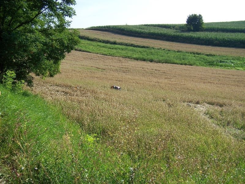 Wypadek w miejscowości Jakuszowice w powiecie kazimierskim