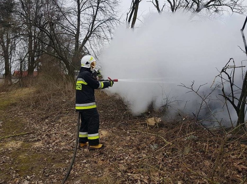 Kol. Rzeczyca: Pijany kierowca wpadł autem do rowu. Samochód się zapalił