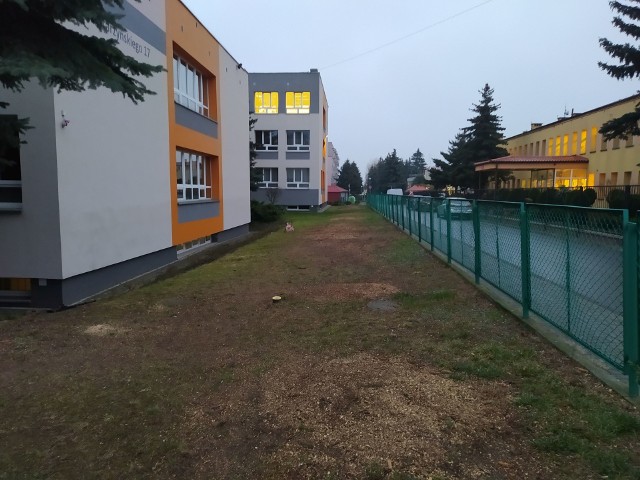 Z terenu Szkoły Podstawowej nr 25 w Rzeszowie wycięto 13 drzew z 21 przeznaczonych do wycinki. Pozostałym drzewom przycięto tylko korony.