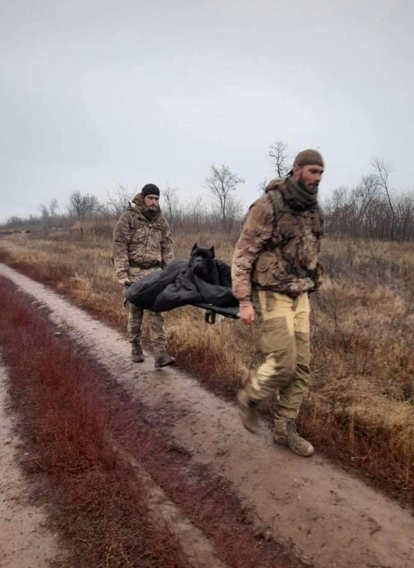 Wasia ma szansę na nowe życie. Dochodzi do siebie w ośrodku...