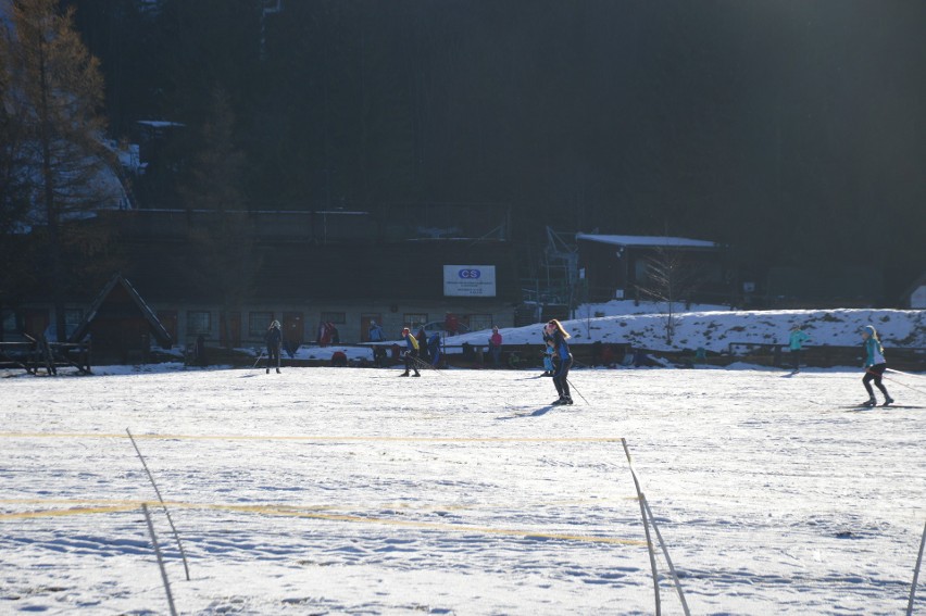 Zakopane. Narciarze biegowi już rozpoczęli sezon [ZDJĘCIA]