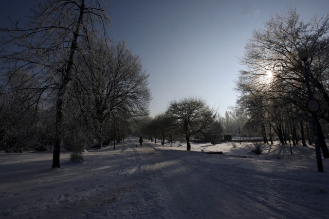 Park może wiele zyskać na pomysłach Wiśniewskiego