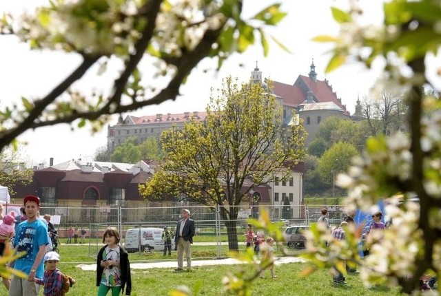 Na błoniach pod Zamkiem może stanąć mały amfiteatr.