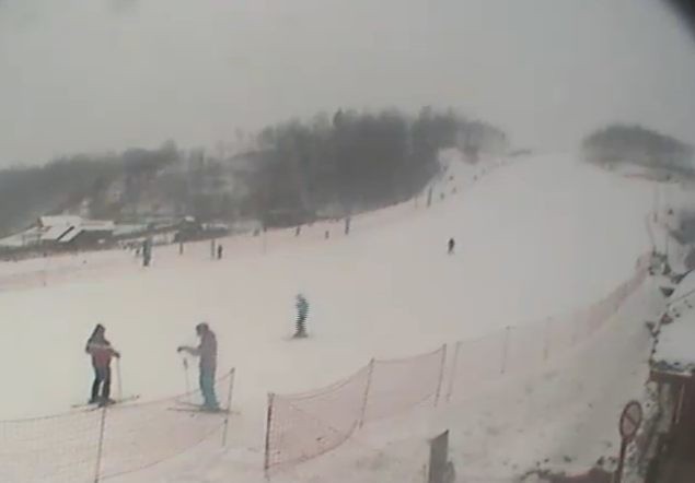 W Bałtowie w środę nie brakuje narciarzy mimo ciągłych opadów śniegu.