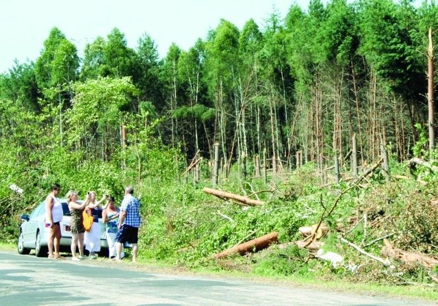 Trąba powietrzna przecięła drogę Tleń - Czersk. Turyści zatrzymują się przy niej, bo zniszczenia widać tu jak na dłoni.