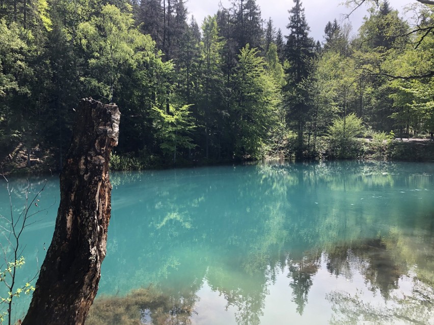 Kolorowe Jeziorka w Rudawach Janowickich warto zobaczyć, bo...