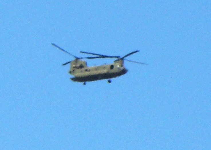 CH-47 Chinook nas Gorzowem.