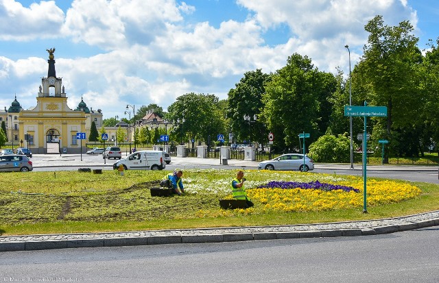 Wymiana kwiatów na rondzie Lussy rozpoczęła się już wczoraj