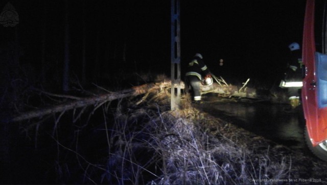 Uszkodzone dachy, drzewa przewracające się na samochody i blokujące drogę, przewalone słupy energetyczne... W piątek, 13 kwietnia nad regionem przechodzi burza. To nie będzie spokojna noc...W związku z piątkowymi burzami i ulewami nad regionem strażacy interweniowali kilkadziesiąt razy. Według wstępnych szacunków, uszkodzonych zostało sześć dachów, a w miejscowości Bobrowickie Pole mężczyznę uderzyła oderwana cegła.W Kłodawie przewrócone drzewo uszkodziło samochód osobowy. Na szczęście nikt nie został poszkodowany.W Nieżychowicach przywrócone słupy telekomunikacyjne zablokowały drogę.Przewrócone drzewo blokowało drogę w Łubiance (gm. Przechlewo). Podobnie w miejscowości Babilon.Słup energetyczny w miejscowości Angowice przewrócił się na dach budynku, uszkadzając go.Pogoda na dzień + 2 kolejne dni (14 + 15-16.04.2018) | POLSKAźródło: TVN Meteo/x-news