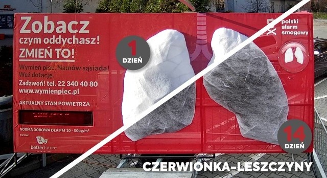 Mobilne płuca w Czerwionce-Leszczynach