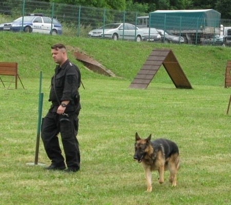 Wrocław: Policyjne psy szukały dzisiaj ładunków wybuchowych (ZDJĘCIA)