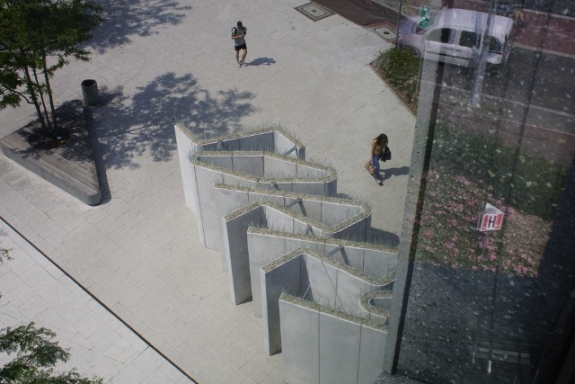 Projekt Joanny Rajkowskiej „SORRY” to rzeźba - betonowy mur pokryty odłamkami szkła na szczycie. Na pierwszy rzut oka mur ma dziwną formę labiryntu, która na wysokości wzroku człowieka jest nieczytelna, stanowi jednak fizyczną barierę nie do pokonania. Zobacz zdjęcia -->