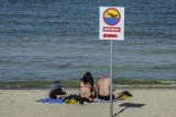 Dlaczego co roku plaże w Polsce są zamykane? Przyczyną niebezpieczne sinice. Czy już się pojawiły i dlaczego są groźne?