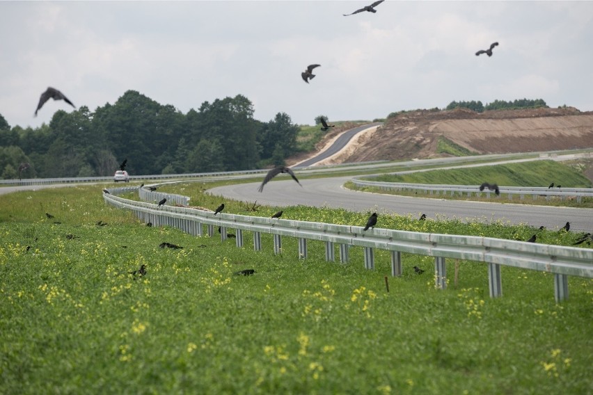 Budowa autostrady A4 Tarnów - Dębica. Zdjęcia zrobione na...