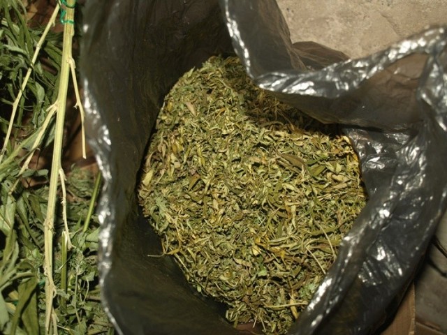 Policjanci znaleźli worek niemal dwóch kilogramów gotowej do sprzedaży marihuany.