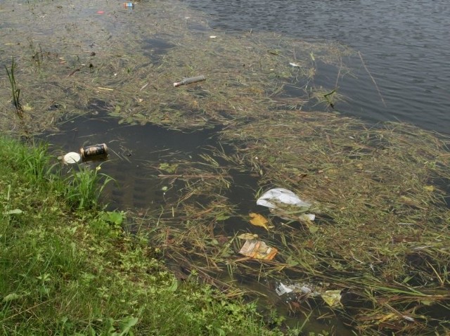 Nasi czytelnicy alarmują, że w kieleckim zalewie wciąż pływają różne odpadki.
