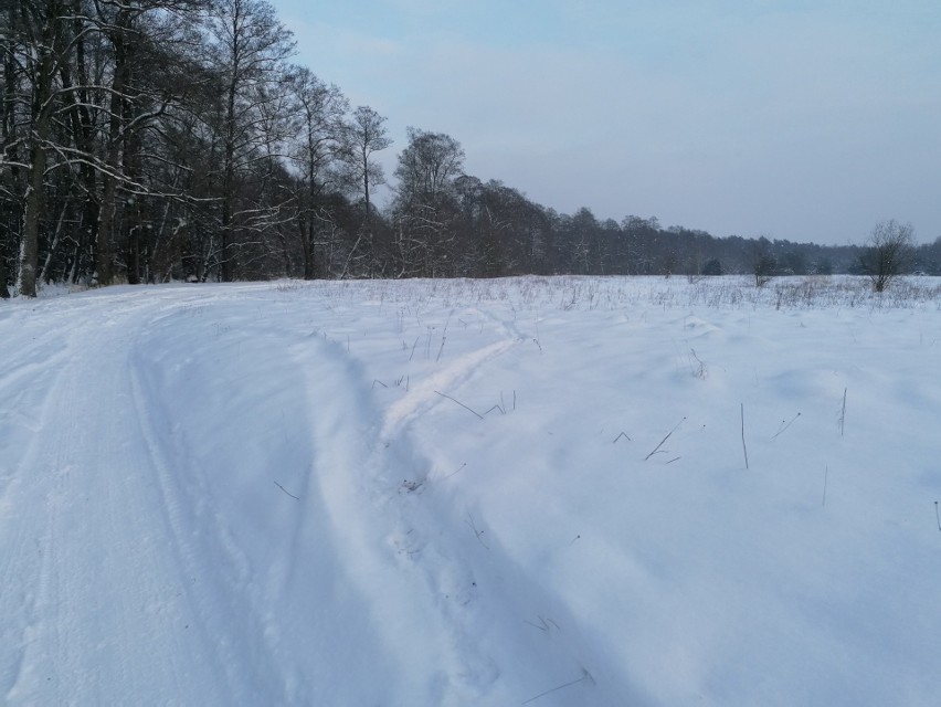 Zimowe krajobrazy nad Grabią w Kolumnie ZDJĘCIA