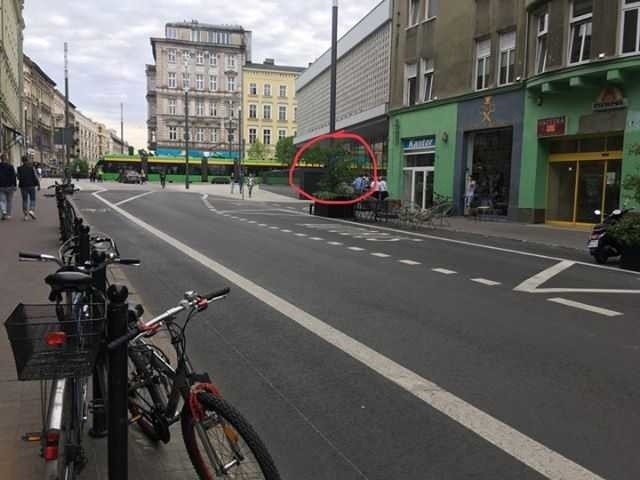 Na ulicy Ratajczaka w Poznaniu roślina w donicy, którą ustawiono na chodniku, zasłoniła znak drogowy. Co na to Zarząd Dróg Miejskich?Zobacz więcej zdjęć --->