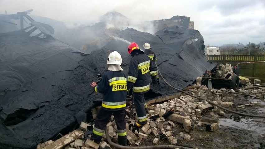 Tragedia pod Łaskiem. Martwy noworodek w spalonym mieszkaniu. To było morderstwo!