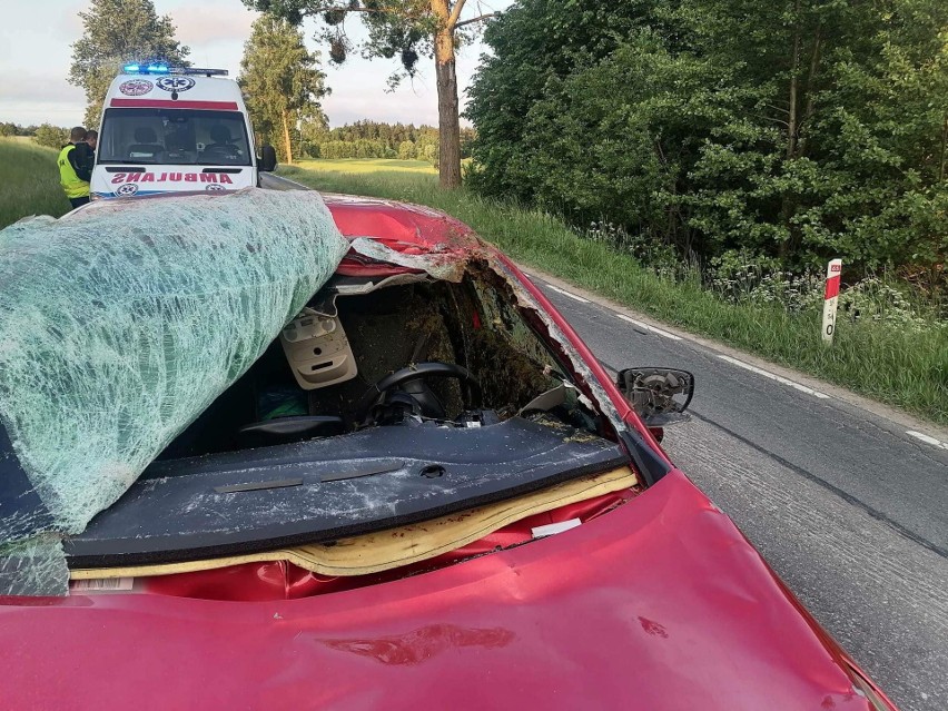 Wypadek na DK 65. Dwie osoby w szpitalu po zderzeniu z łosiem