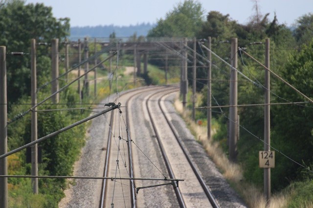 Spółka Centralny Port Komunikacyjny ogłosiła przetarg na inwentaryzacje przyrodnicze dla nowych linii kolejowych, przede wszystkim dla trasy z Łodzi do Warszawy przez CPK.