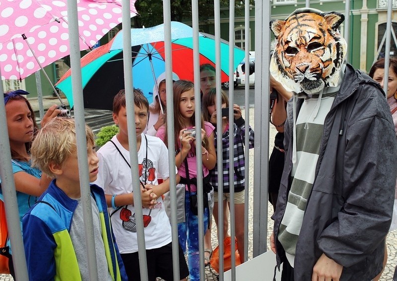 Aktywista zamknął się w klatce w obronie zwierząt przed...