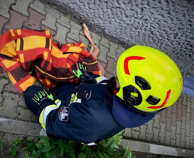 Strażacy uratowali sarnę, która zaklinowała się w ogrodzeniu