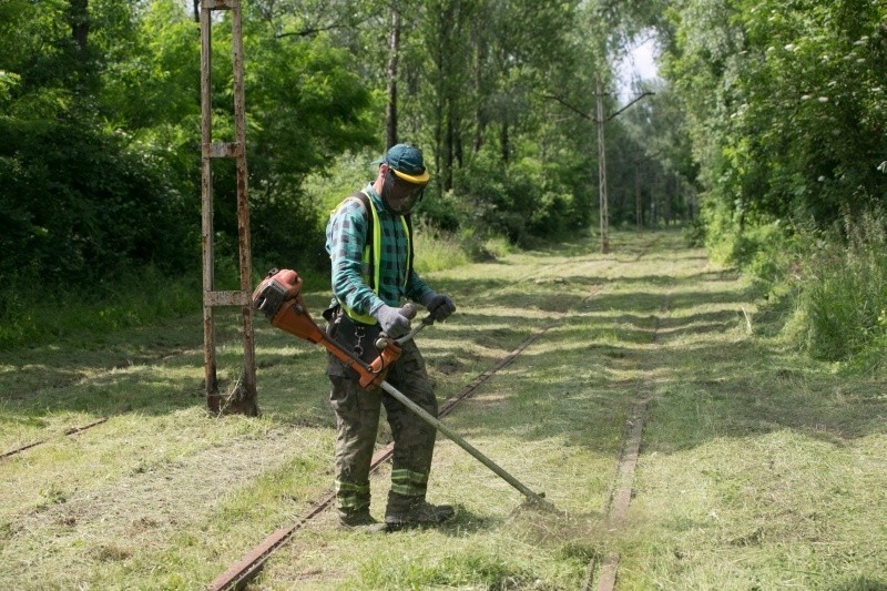 Tak kosić w Łodzi nie wolno. Przynajmniej na terenach...