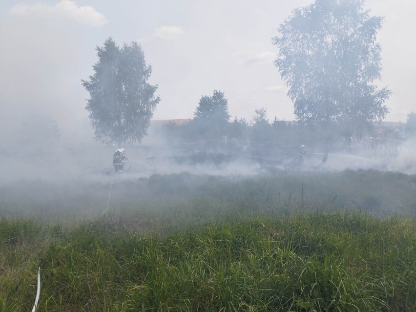 Pożar traw przy linii kolejowej w Bukownie