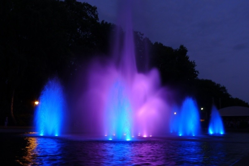 Po tygodniowej renowacji fontanna w parku Planty znów...