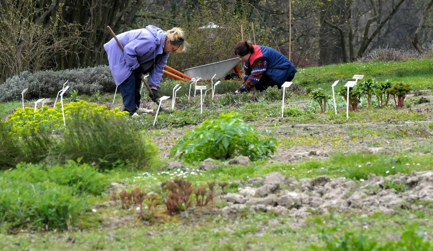 Ogród Botaniczny w Lublinie