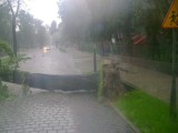 Nawałnica nad Szprotawą. Podtopione domy, zalane ulice i zwalone drzewo