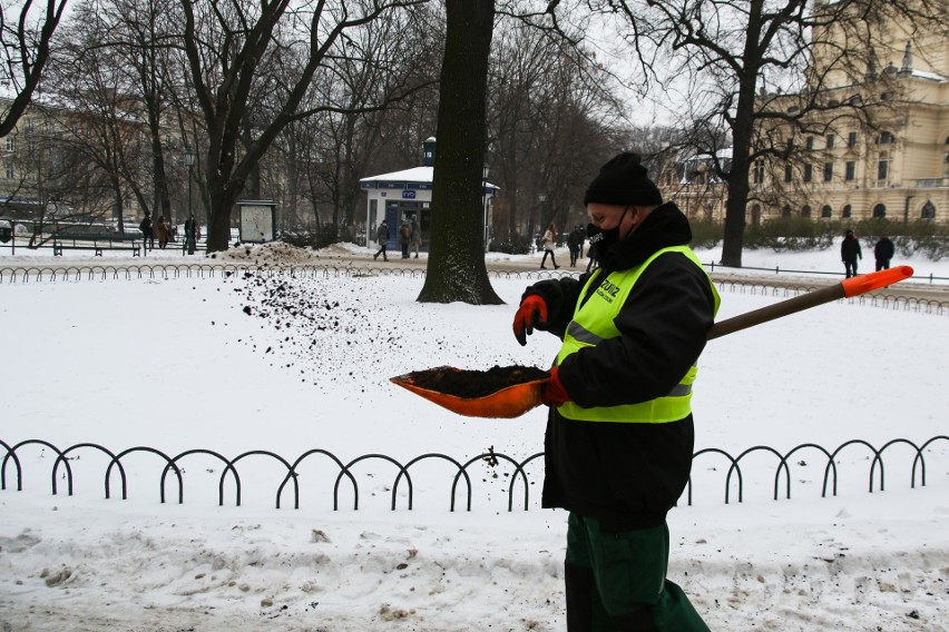 Fusy z kawy zamiast soli i piasku? Ekspert z Uniwersytetu Rolniczego ostrzega, że może to być niebezpieczne dla roślin i gleby [ZDJĘCIA]