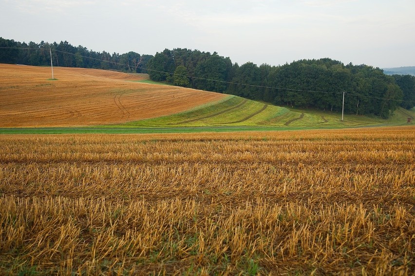 Dochód z hektara przeliczeniowego 2019 - obowiązuje podany przez GUS we wrześniu 2018 