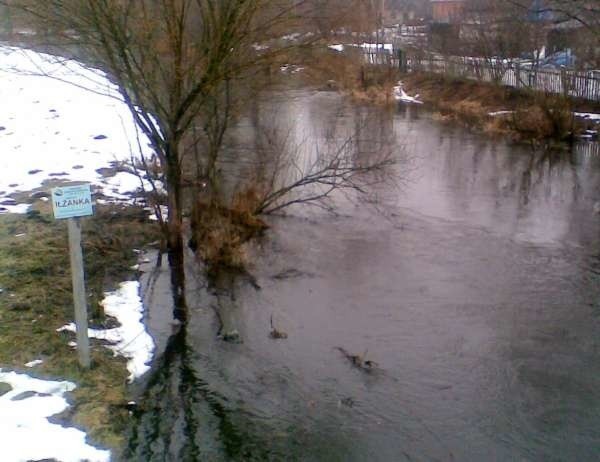 Zdjęcie z mostu w Kazanowie: tuż za nim rzeka wyszła z koryta i rozlewa się już po polach.