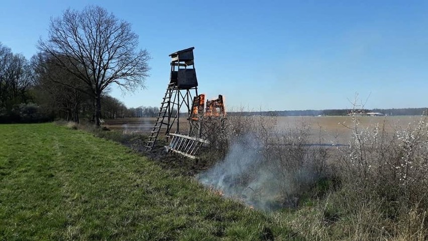 Pożar trawy i ambony myśliwskiej pod Oławą   