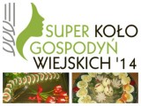 Gospodynie z Dąbrówki Wielkopolskiej promują lokalne produkty!