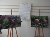 Pamiętajcie o ogrodach, czyli ciekawa wystawa pań z KGW w Smolance