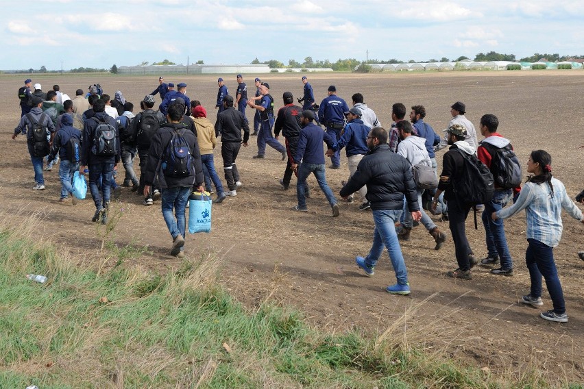 Uchodźcy zalewają Europę. Trafią także do woj. śląskiego