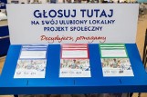 Program społeczny "Decydujesz, pomagamy" w Toruniu. Sprawdź na co możesz zagłosować!