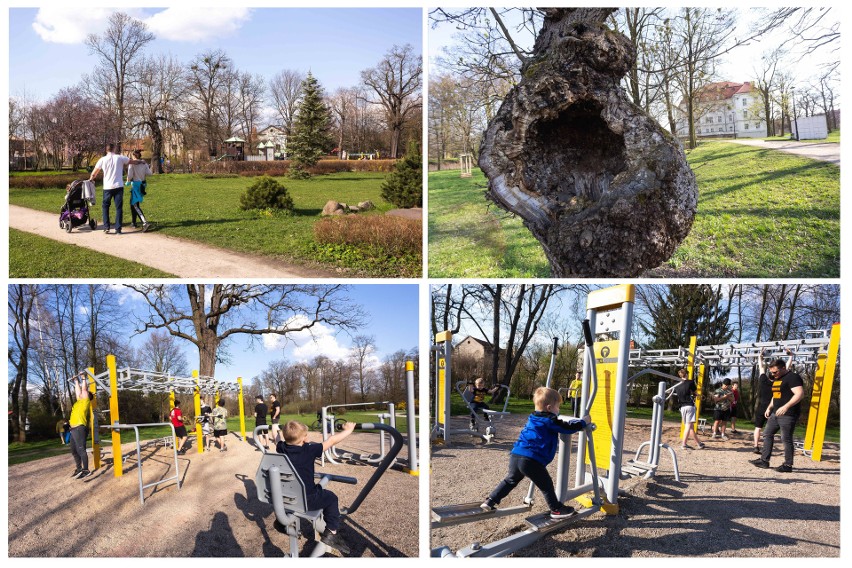 Park Leśnicki to miejsce tuż za zamkiem....