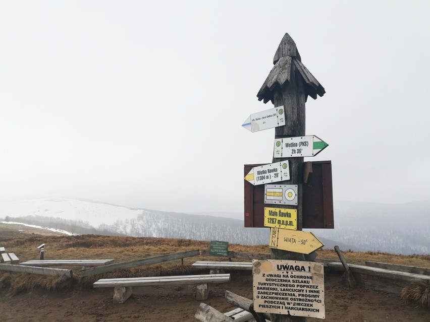 Bieszczady budzą się z zimowego snu. Nasz internauta wybrał...