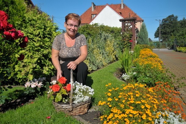- Moją domeną w ogrodzie są kwiaty &#8211; mówi Wanda Bagińska. &#8211; Niektóre wysiewają się same, część dostałam od sąsiadek.