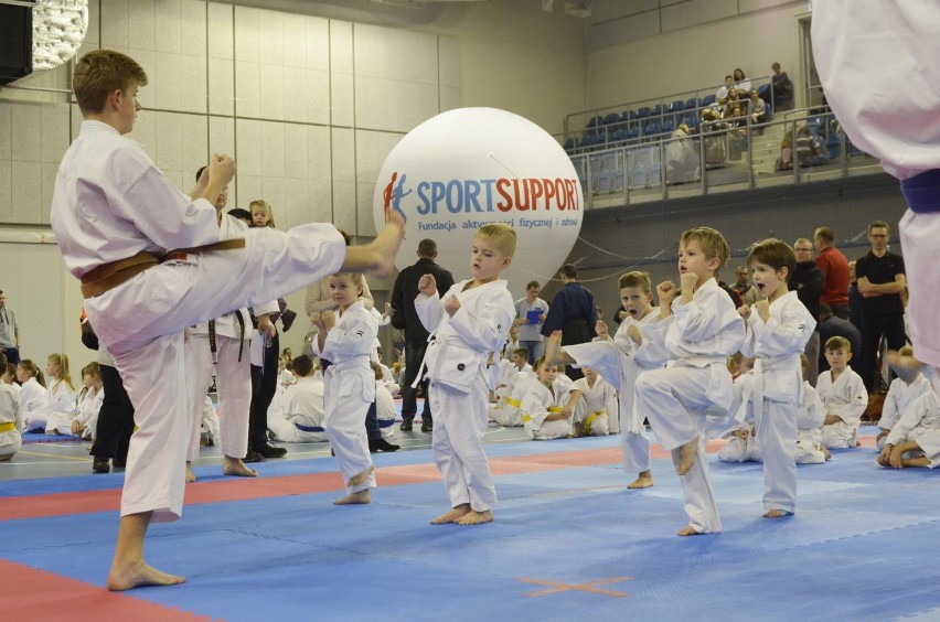 810 pojedynków w karate i moc atrakcji w Tauron Arenie Kraków
