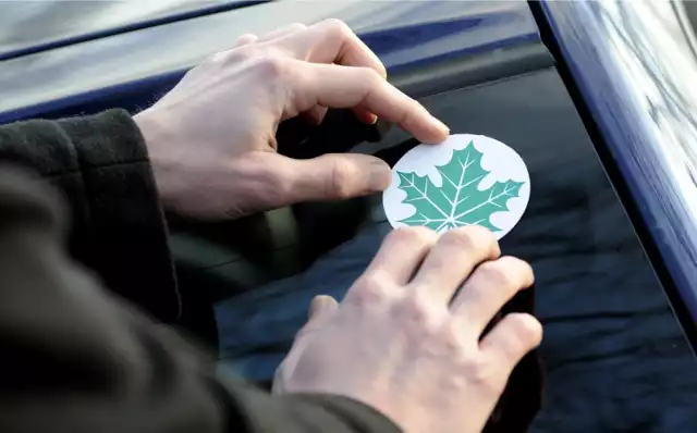 Wiele zamieszania budziła idea naklejania zielonego liścia, jako znaku, że auto prowadzi "świeżo upieczony" kierowca.