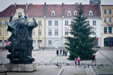 Na bydgoskim rynku stanęła bożonarodzeniowa choinka [zdjęcia]