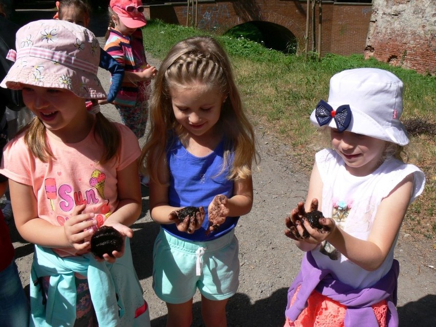 Na pomoc pszczołom w Tarnobrzegu! Dzieci rozrzuciły ekologiczne bomby z nasionami