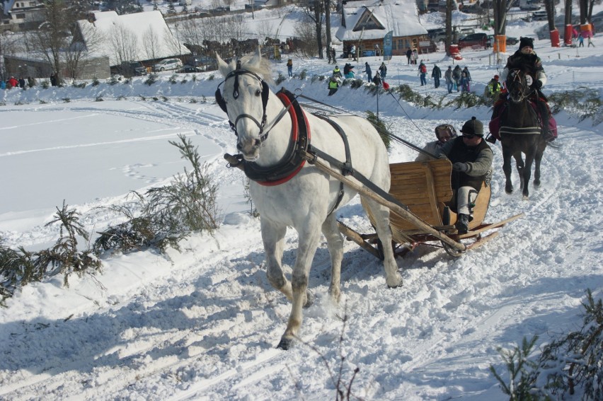 Kumoterki Zakopane 2018