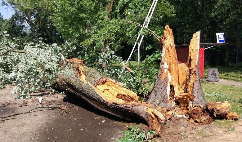 Oto skutki ostatniej burzy i nawałnicy, która przeszła przez...